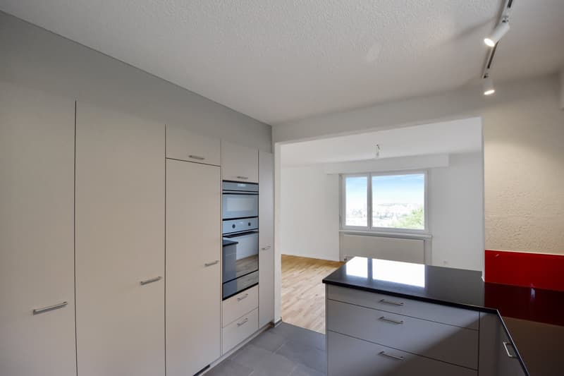 modern kitchen, double oven, granite countertops, wooden floor, glass window, built-in cabinets, track lighting