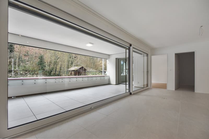 Moderne 3.5-Zimmer-Neubauwohnung mit Balkon und Garage in Zürich-Seebach (1)