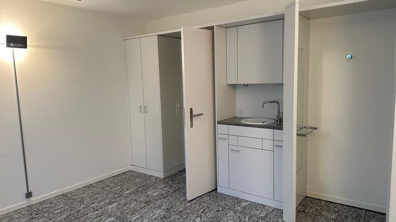 The image shows a studio apartment with a kitchenette area, a wardrobe, and a sink. The floor is covered with gray carpet, and the walls are painted in a light color. The kitchenette features a dishwasher and a sink with a faucet.