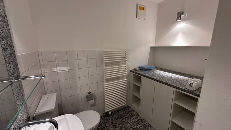 The image shows a bathroom with white tiled walls, a toilet, a vanity unit with a granite countertop, and a towel warmer. The bathroom appears to be clean and well-maintained.