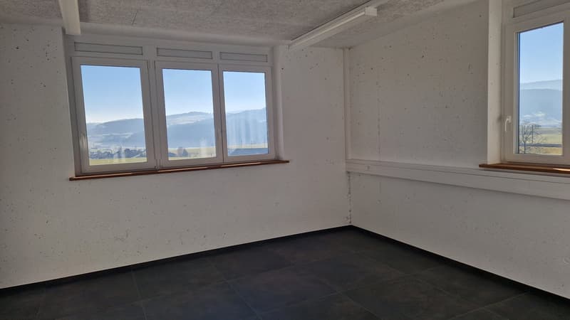Commercial space for office, practice, services etc. (3)