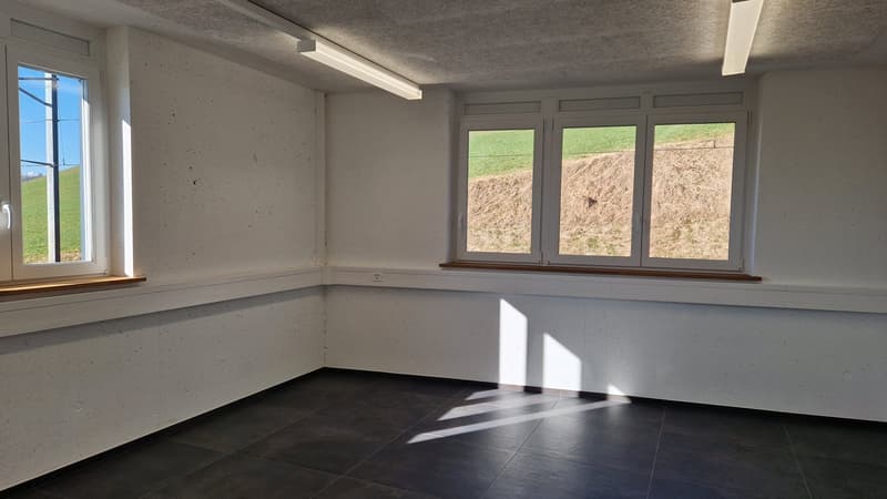 Commercial space for office, practice, services etc. (5)