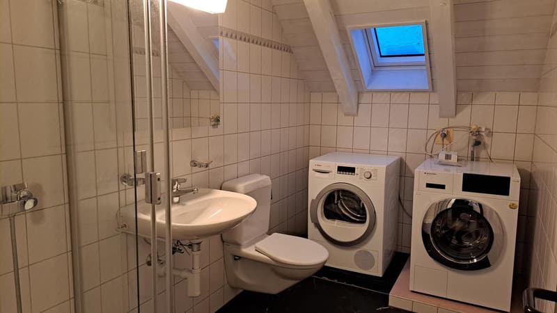 Grosszügige 5-Zimmer-Wohnung mit Galerie in Zollbrück (13)
