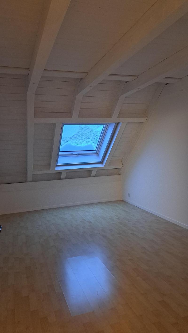 Grosszügige 5-Zimmer-Wohnung mit Galerie in Zollbrück (9)