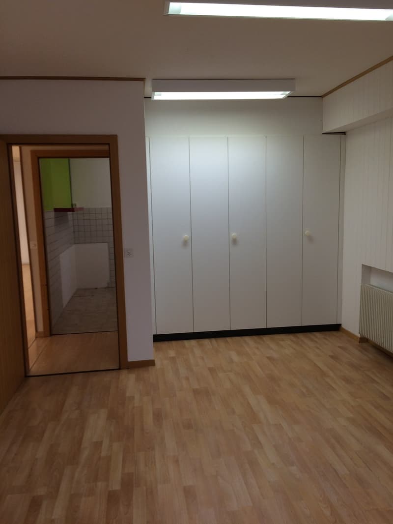 empty room with wooden floor, white walls, built-in wardrobes, ceiling lights