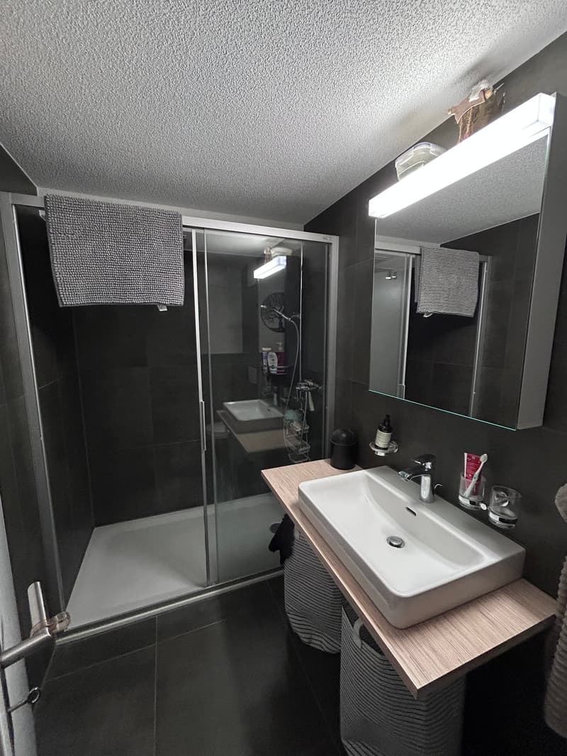 Charmante 2.5-Zimmer-Wohnung im Erdgeschoss (5)