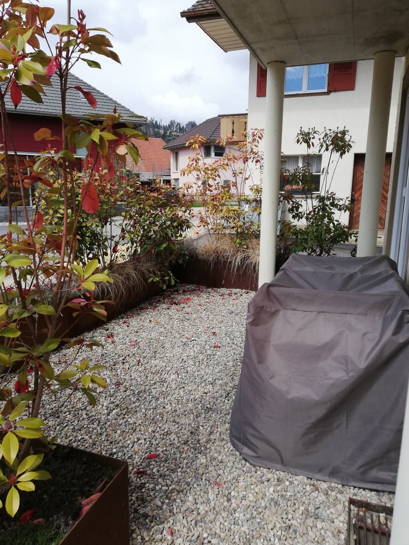 Charmante 2.5-Zimmer-Wohnung im Erdgeschoss (9)