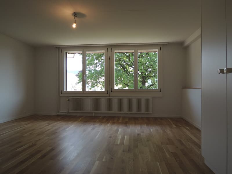 Charmante 3-Zimmer-Wohnung in Zollbrück (9)