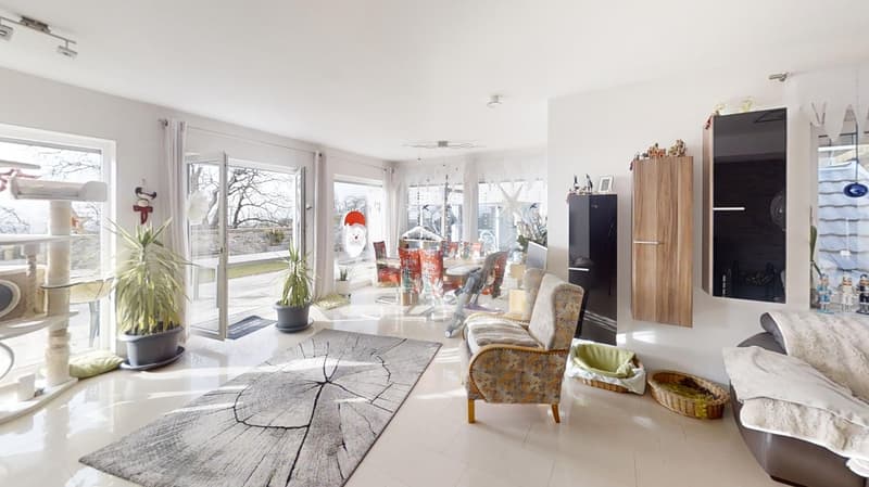 modern living room with large windows, balcony access, rug, sofa, armchair, coffee table, wooden cabinets, potted plants, basket, dog beds