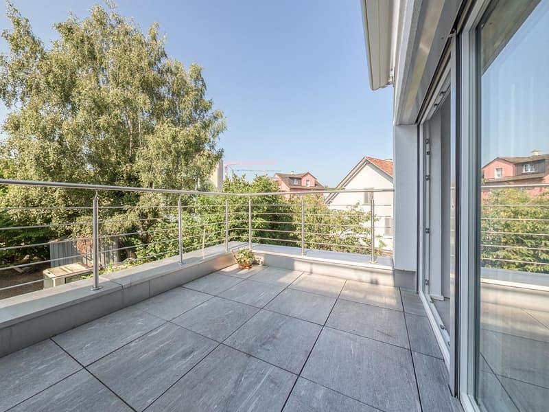 large balcony, metal railing, tiled floor, potted plant, glass doors