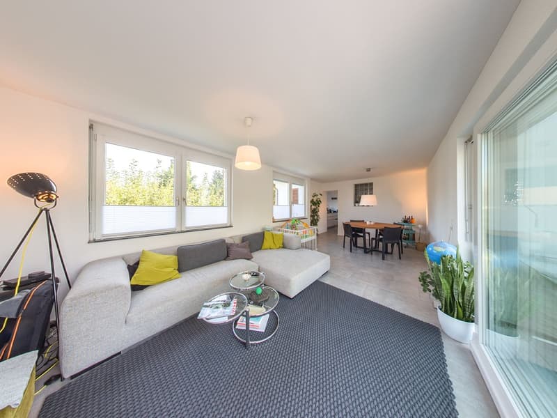 modern living room with gray sofa, glass coffee table, large windows, floor lamp, carpet, potted plant, dining table, chairs, and a view of the outside