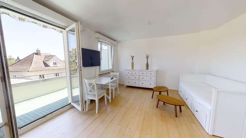 Studio möbliert mitten im Zentrum mit grosser Terrasse (2)