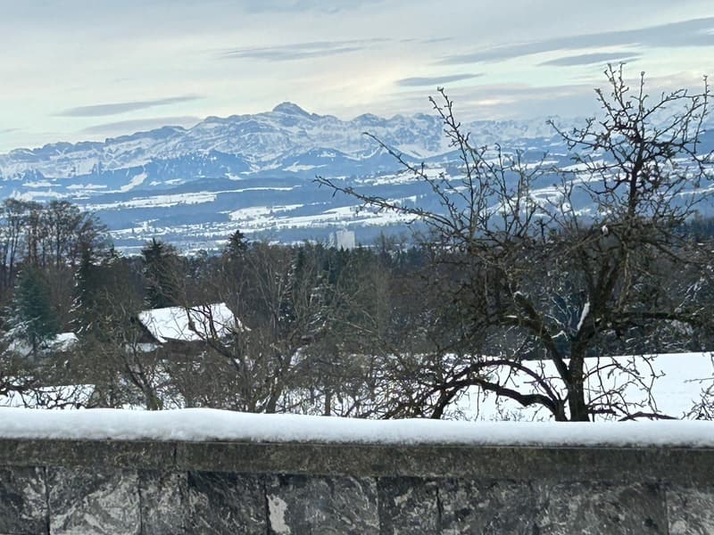 Modernes 5-Zimmer-Einfamilienhaus mit Hallenbad in Illhart (4)