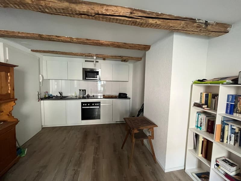 Renovierte Wohnung an der Stadtgrenze zu Konstanz (2)