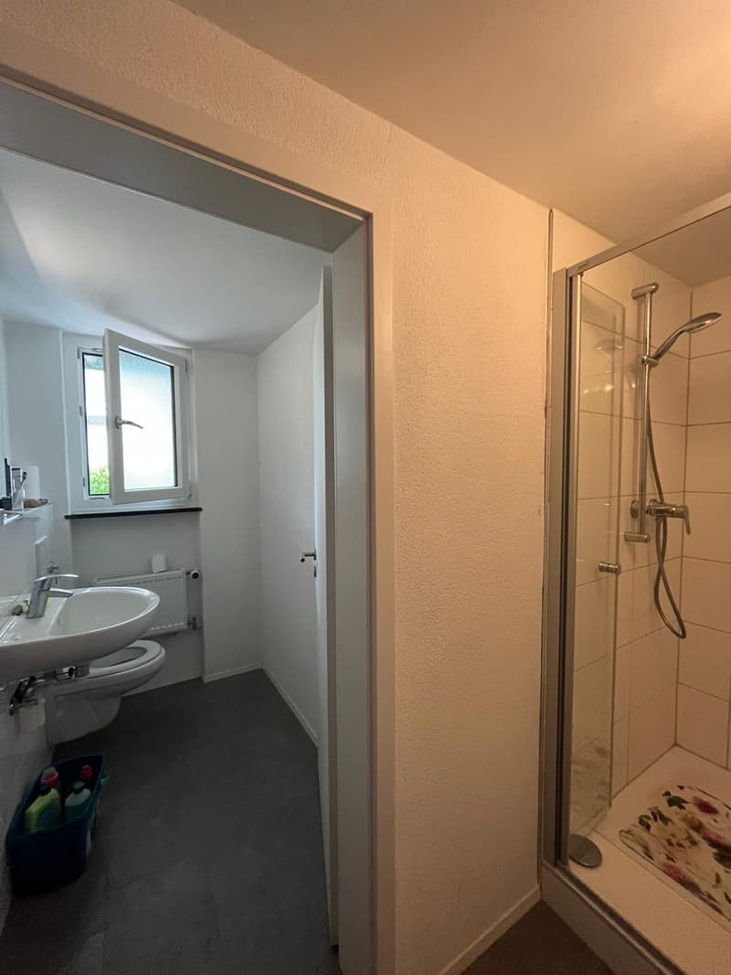 Renovierte Wohnung an der Stadtgrenze zu Konstanz (3)