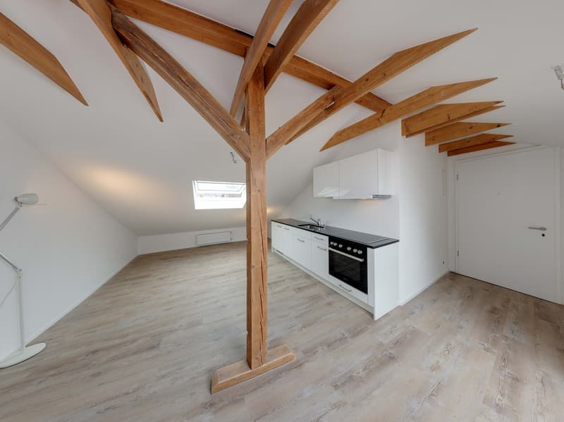 Neu erstellte Dachwohnung mit Dachbalkonfenster (1)