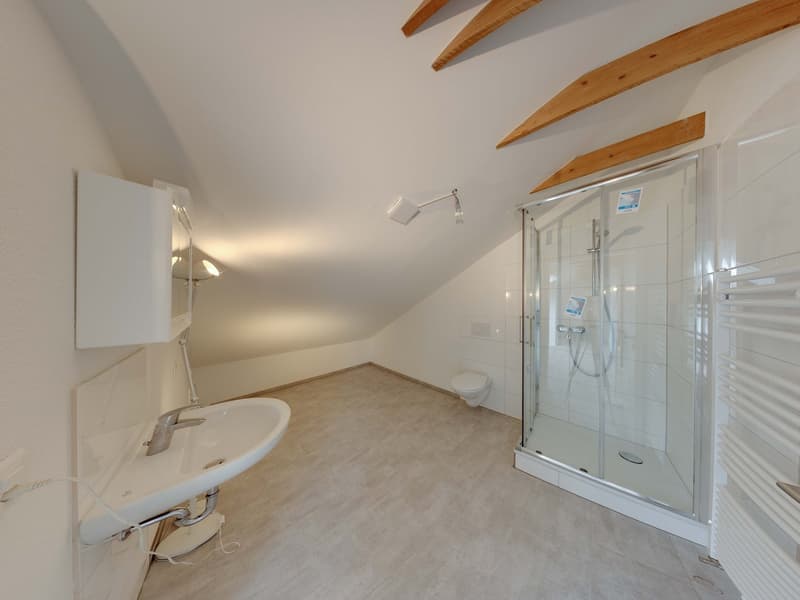 Neu erstellte Dachwohnung mit Dachbalkonfenster (6)