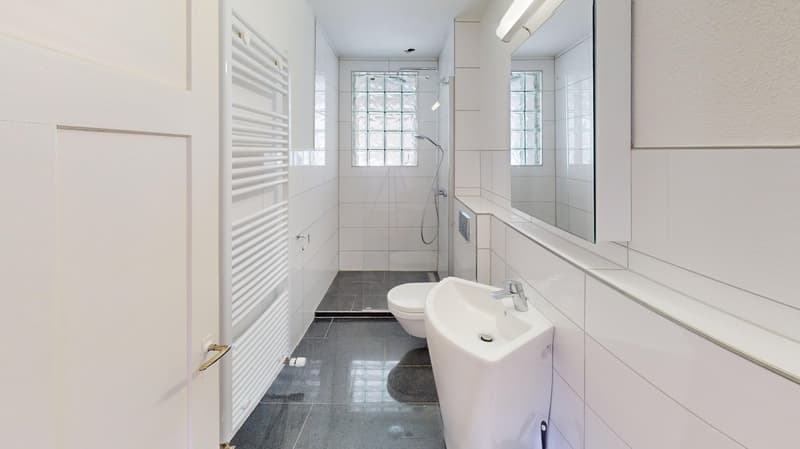 Sanierte 4.5-Zimmer-Altbauwohnung mit Terrasse  und Balkon (12)