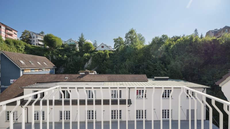 white building with brown roof, multiple windows, balcony, surrounded by trees and other houses