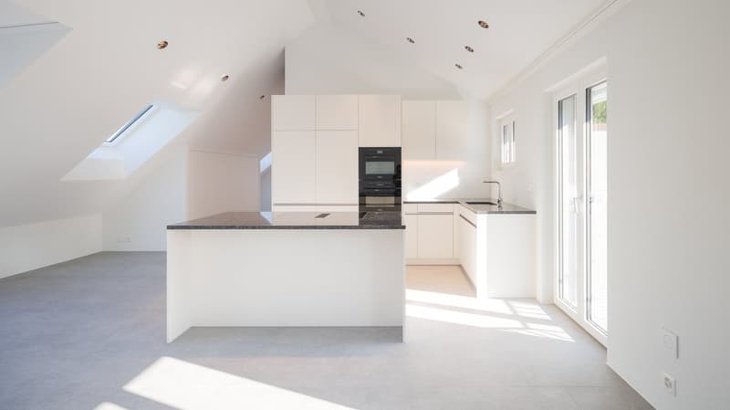 Appartement d'attique exclusif avec vue panoramique à Lucerne (1)