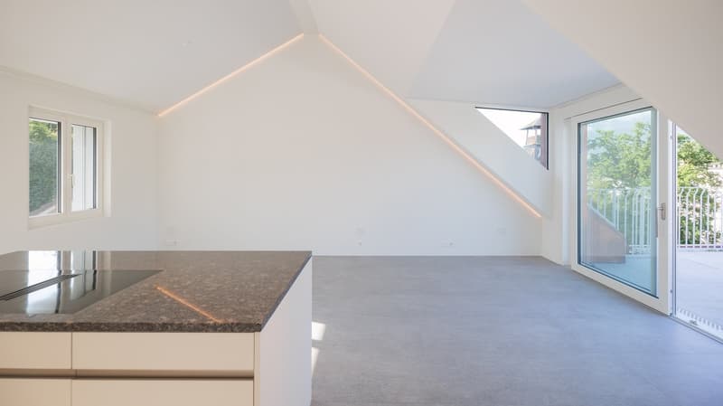 Appartement d'attique exclusif avec vue panoramique à Lucerne (5)