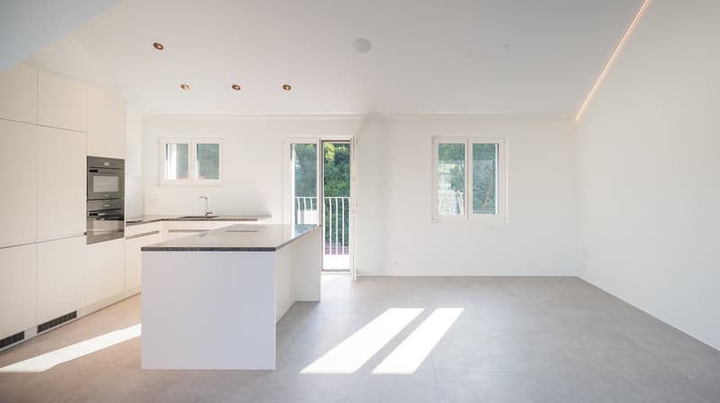 Appartement d'attique exclusif avec vue panoramique à Lucerne (3)