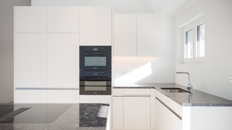 Appartement d'attique exclusif avec vue panoramique à Lucerne (2)