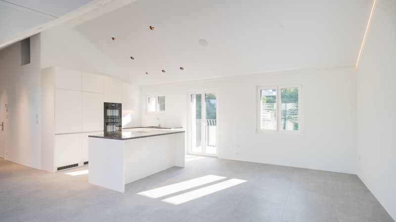Appartement d'attique exclusif avec vue panoramique à Lucerne (4)