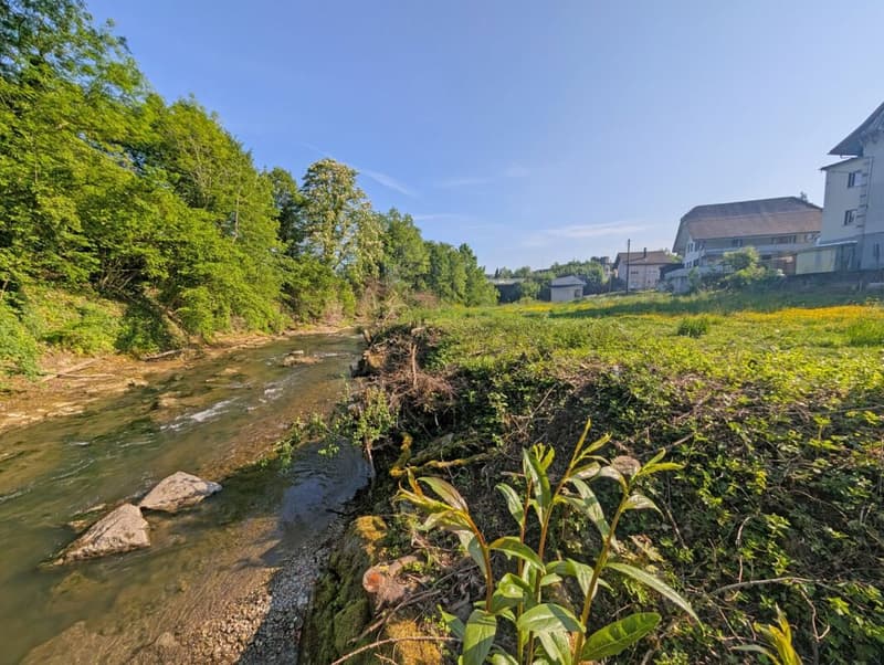 Charmantes Tiny House - Nachhaltig, stilvoll und gemütlich unmittelbar an der Murg (3)