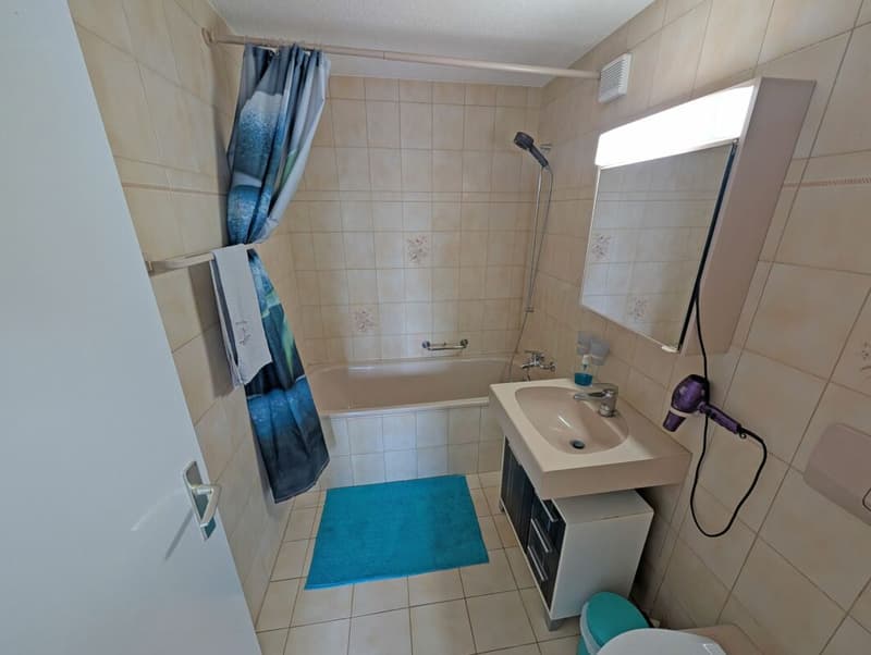Modernisierte 4.5 Zimmer Wohnung an familienfreundlicher Lage (5)
