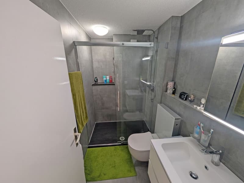 Modernisierte 4.5 Zimmer Wohnung an familienfreundlicher Lage (4)