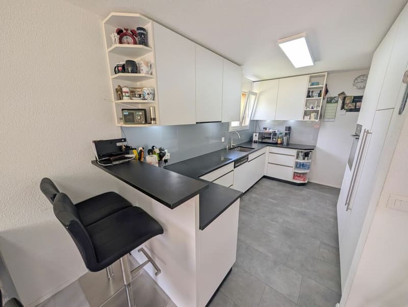 Modernisierte 4.5 Zimmer Wohnung an familienfreundlicher Lage (2)