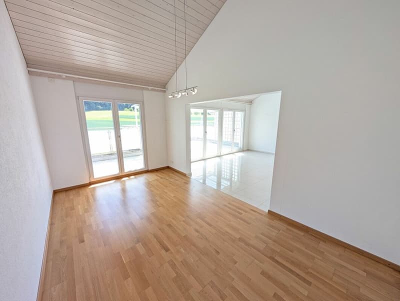 Einzigartige Attikawohnung mit herrlicher Terrasse und Blick in Grüne (13)