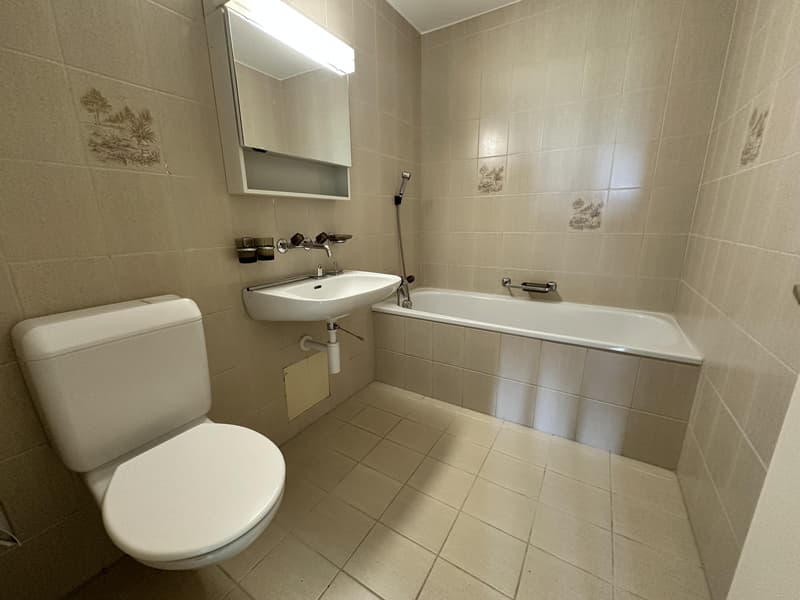 4.5 Zimmerwohnung in Safenwil (11)