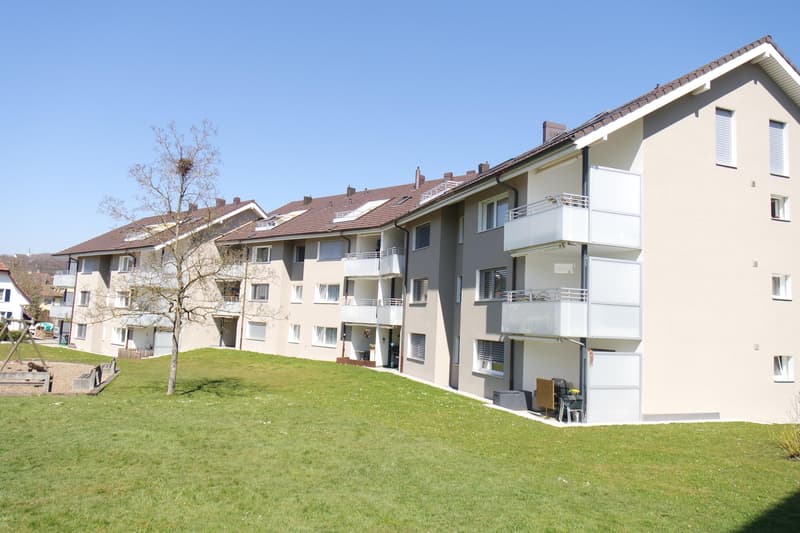 5.5 Zimmerwohnung in Safenwil (1)