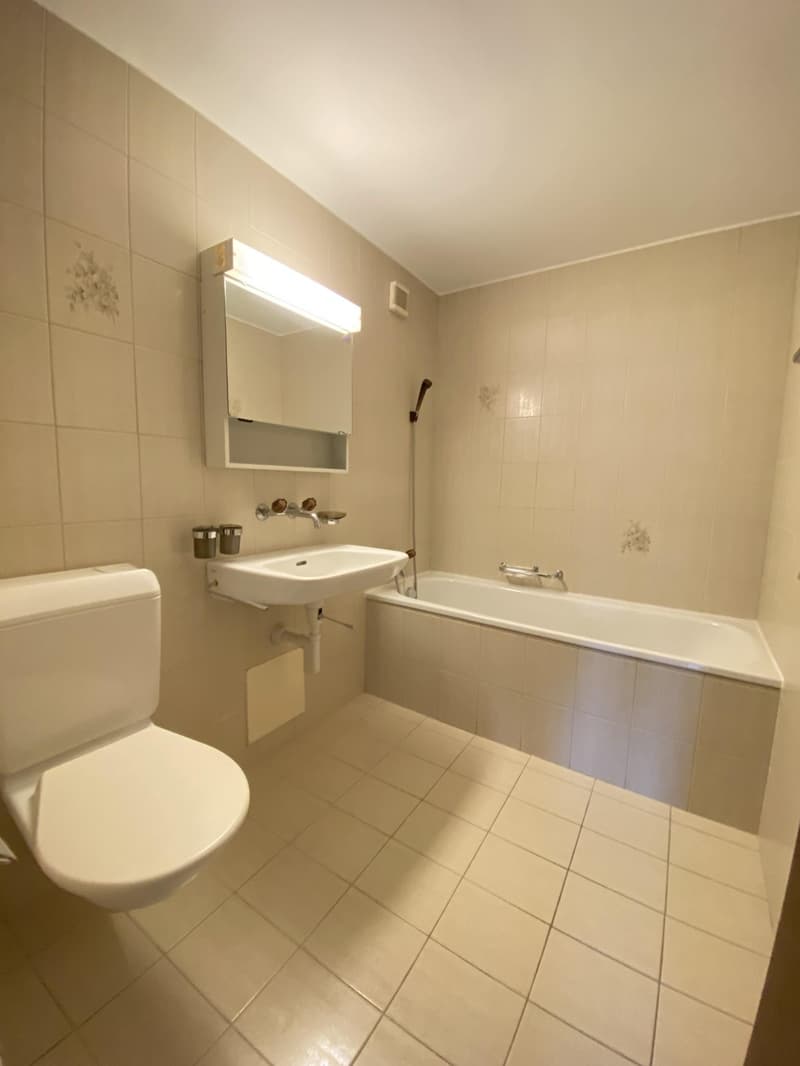 3.5 Zimmerwohnung in Safenwil (8)