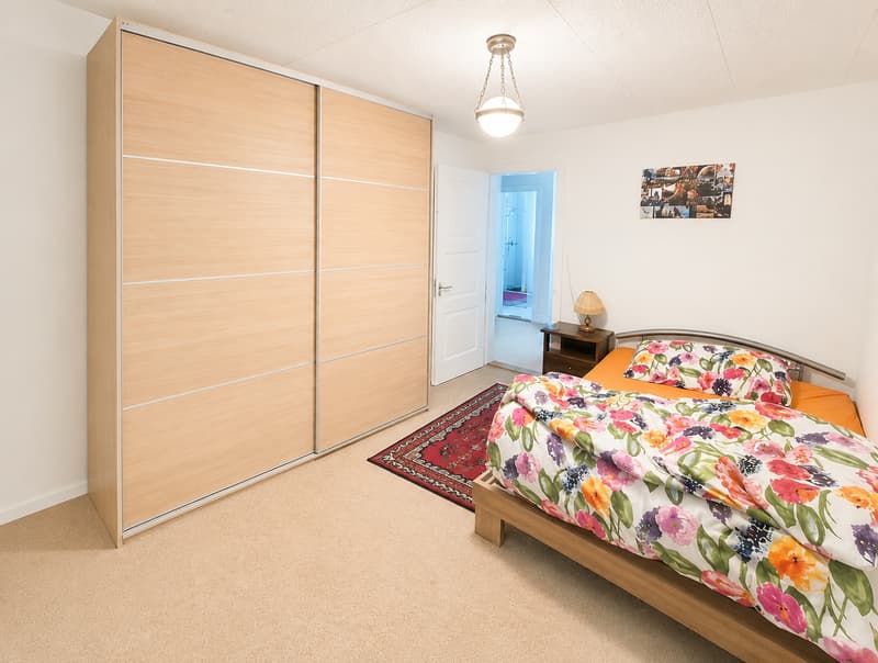 Kleine, charmante 3-Zimmer-Wohnung zur Vermietung (9)