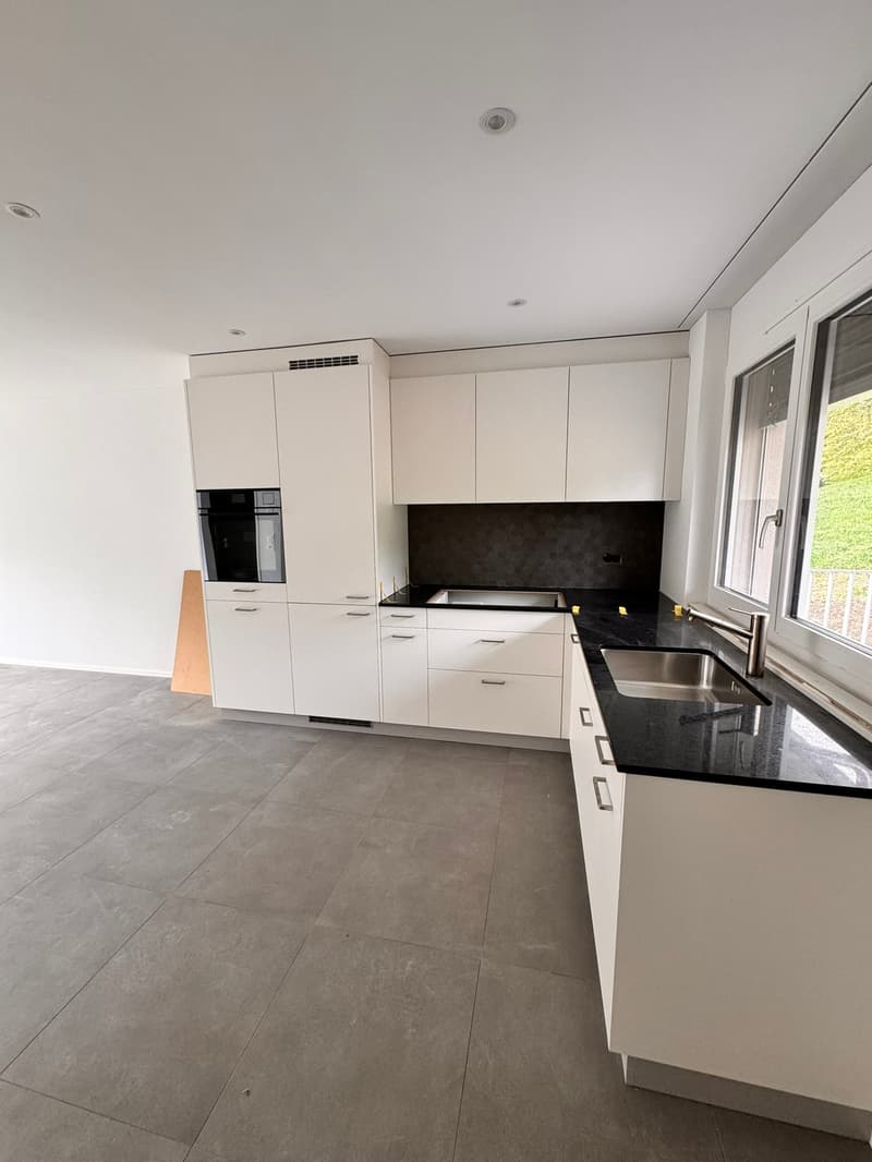 Erstvermietung 2 MFH Kirchweg 358 / 359 in Zullwil – Modern wohnen im Grünen (4)