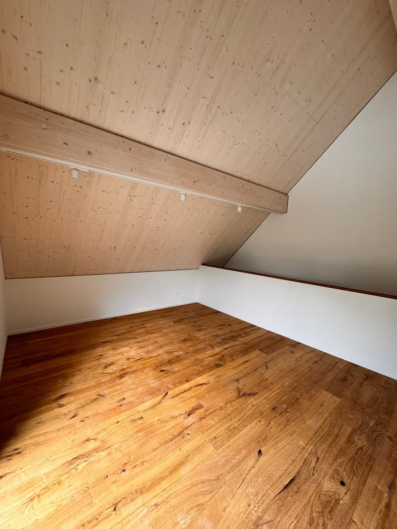 Erstvermietung 2 MFH Kirchweg 358 / 359 in Zullwil – Modern wohnen im Grünen (9)
