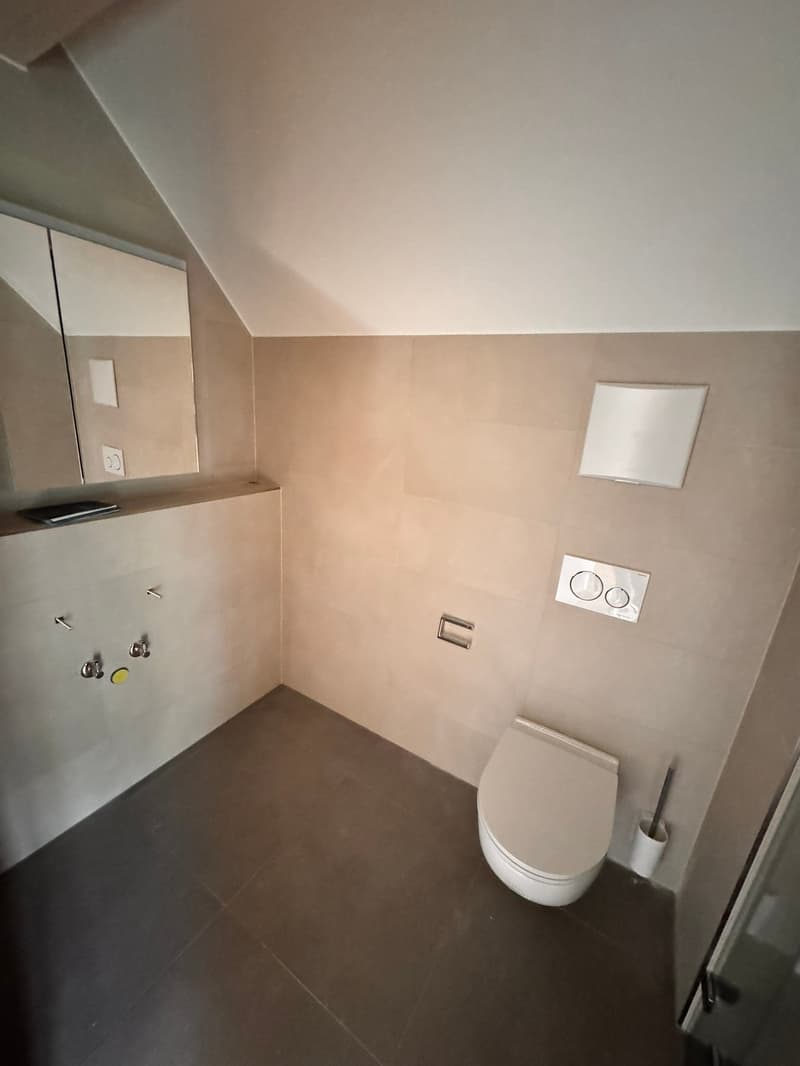 Erstvermietung 2 MFH Kirchweg 358 / 359 in Zullwil – Modern wohnen im Grünen (7)
