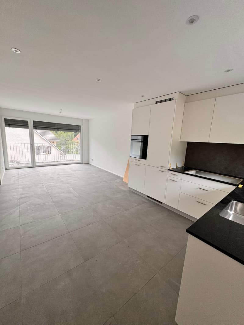Erstvermietung 2 MFH Kirchweg 358 / 359 in Zullwil – Modern wohnen im Grünen (5)