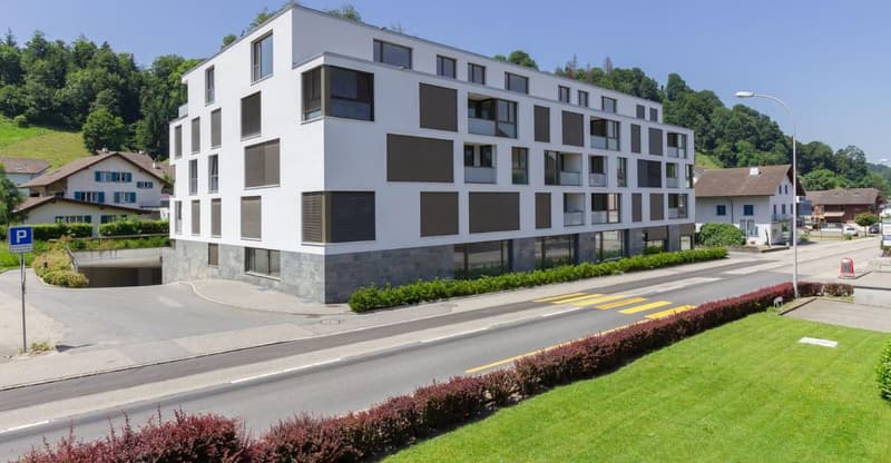 Charmante 3.5-Zimmer-Attikawohnung an ruhiger Lage in Menznau (1)