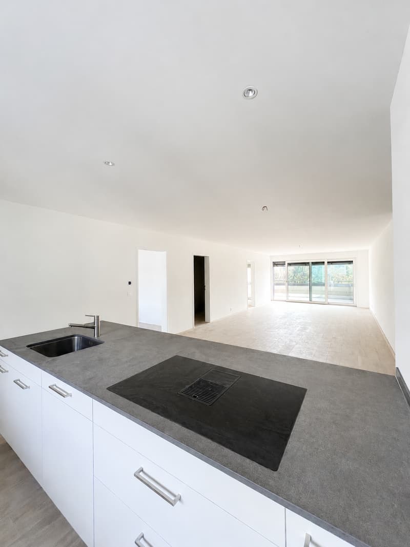 Moderne 4.5-Zimmer-Wohung in Zwingen – Bezug ab Oktober 2026 (3)