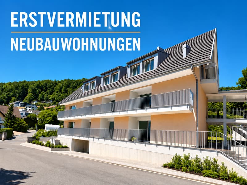Erstvermietung 2 MFH Kirchweg 358 / 359 in Zullwil – Modern wohnen im Grünen (1)