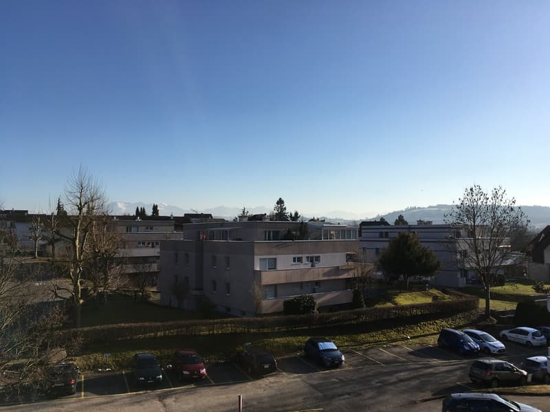 Helle 4.5-Zimmer-Wohnung mit Balkon und schöner Aussicht in Sursee (15)