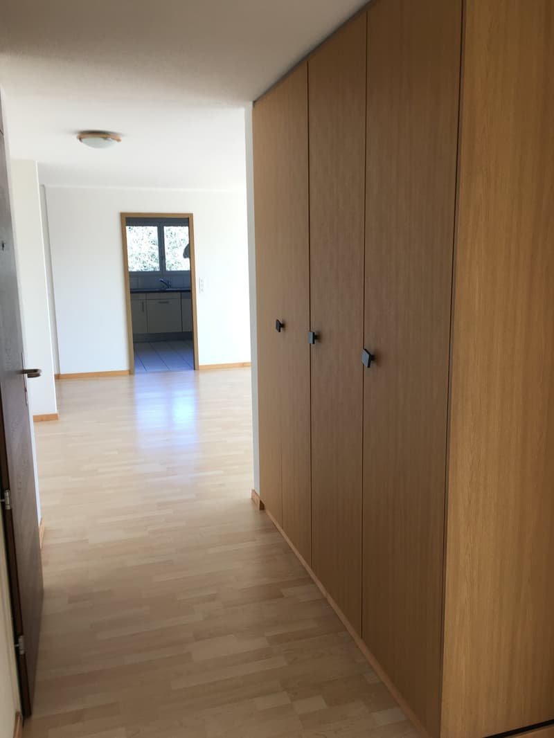Helle 4.5-Zimmer-Wohnung mit Balkon und schöner Aussicht in Sursee (5)