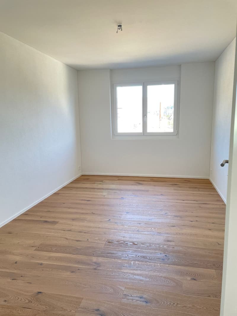 Moderne 5.5-Zimmer-Wohnung mit Balkon und schöner Aussicht in Zwingen (10)