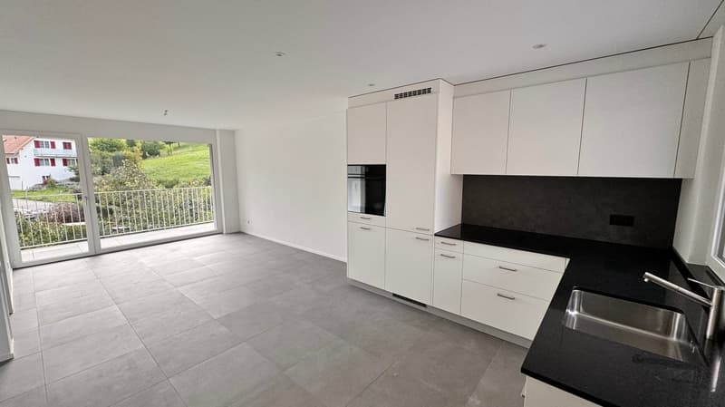Neubau-Wohnung mit Balkon in Zullwil (3)
