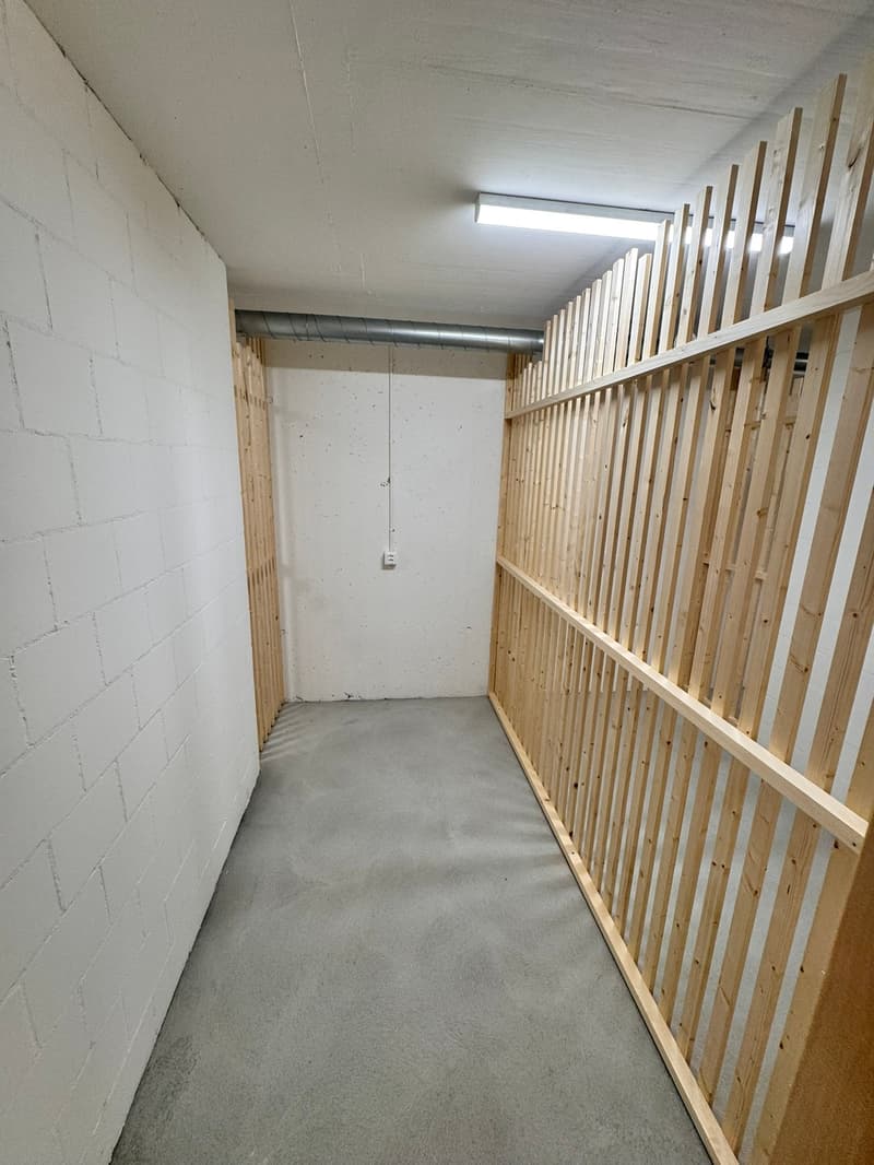 Neubau-Wohnung mit Balkon in Zullwil (14)
