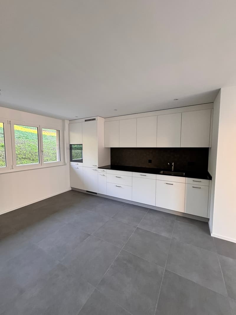 Erstvermietung 2 MFH Kirchweg 358 / 359 in Zullwil – Modern wohnen im Grünen (7)